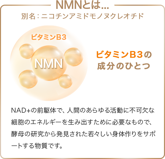 別名：ニコチンアミドモノヌクレオチド。ビタミンB3の成分のひとつ