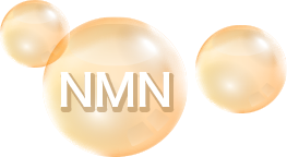 NMNイメージ